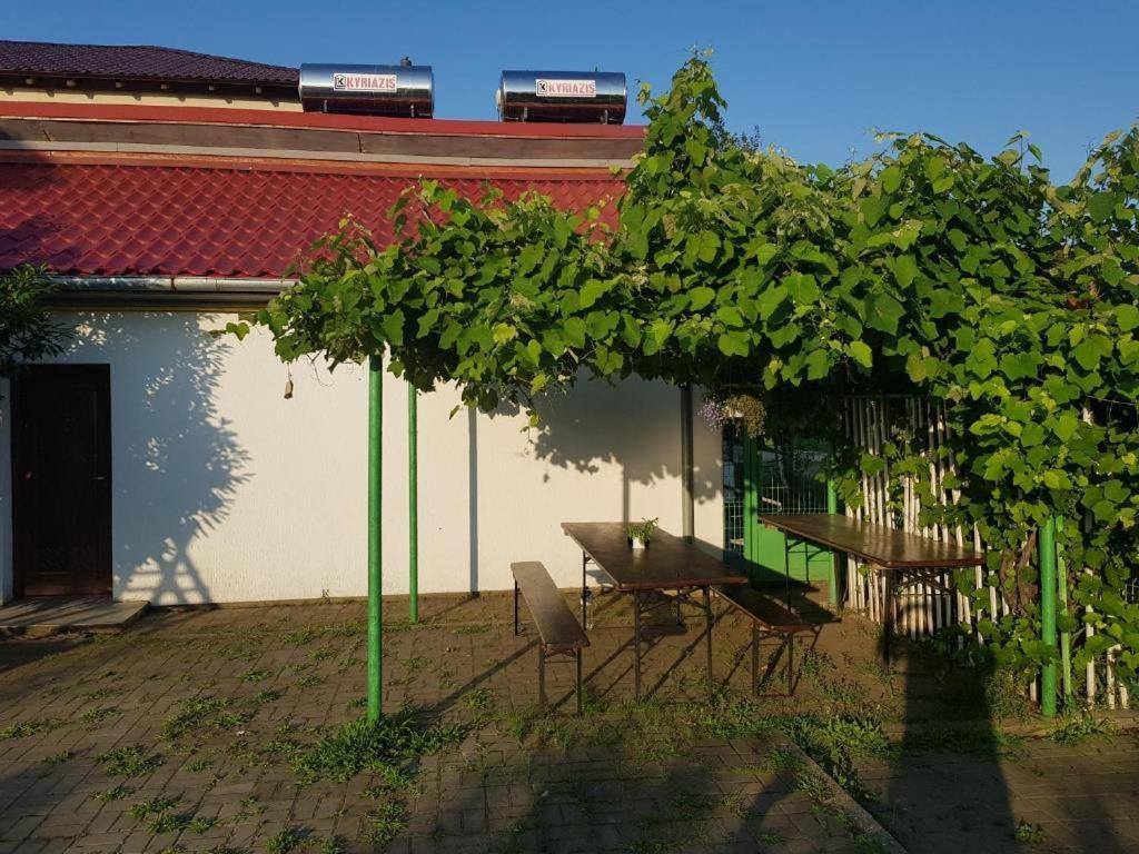 Vila Orizont Venus Exterior photo
